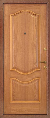 Металлическая дверь тип 8